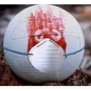 Meet your Posher, Phillip